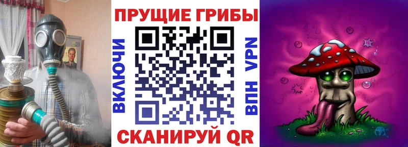 Галлюциногенные грибы GOLDEN TEACHER  Купить где  Новое Девяткино 